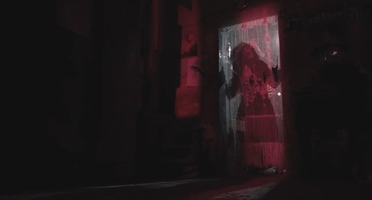 Santa Sangre (1989) movie still: medium — A dark, dimly lit corridor features a figure standing behind a translucent, patterned curtain. Intense red…