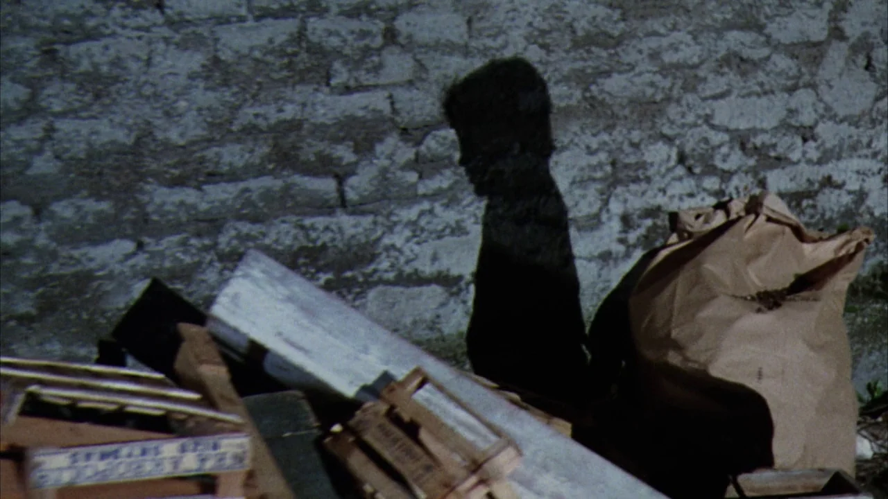 Willy Wonka & the Chocolate Factory (1971) movie still: medium — A dark, textured brick wall serves as the backdrop for a pile of debris. A…