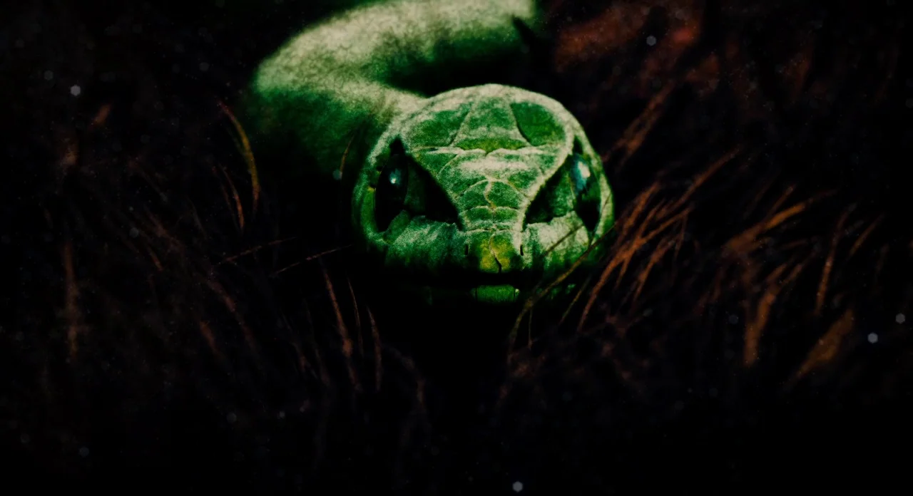 Noah (2014) movie still: closeup — A green snake rests partially hidden within a dense patch of dark, tall grass. The subject faces forward toward…