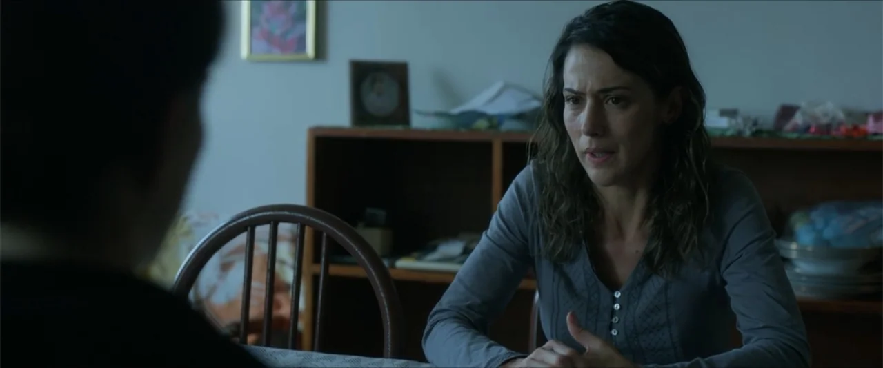 Dive (2013) movie still: medium — A residential room featuring a wooden chair, a bookshelf, and a wall picture frame. A woman in a grey shirt talks…