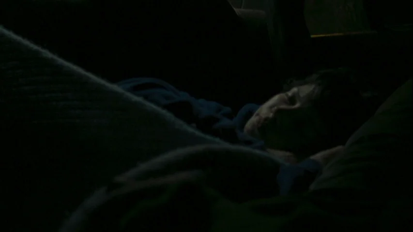 Wendy and Lucy (2008) movie still: closeup — A dark car interior with a person resting on a seat at night. The individual lies reclined in a blue…