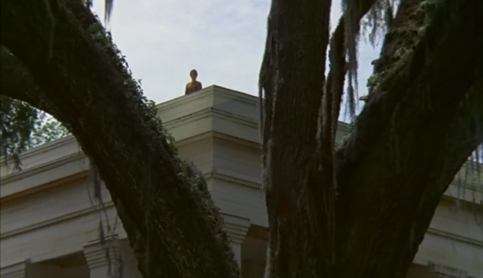 The Beguiled (1971) movie still: wide — A cream-colored mansion roof is framed by two large, moss-draped oak trees. A single person stands perfectly…