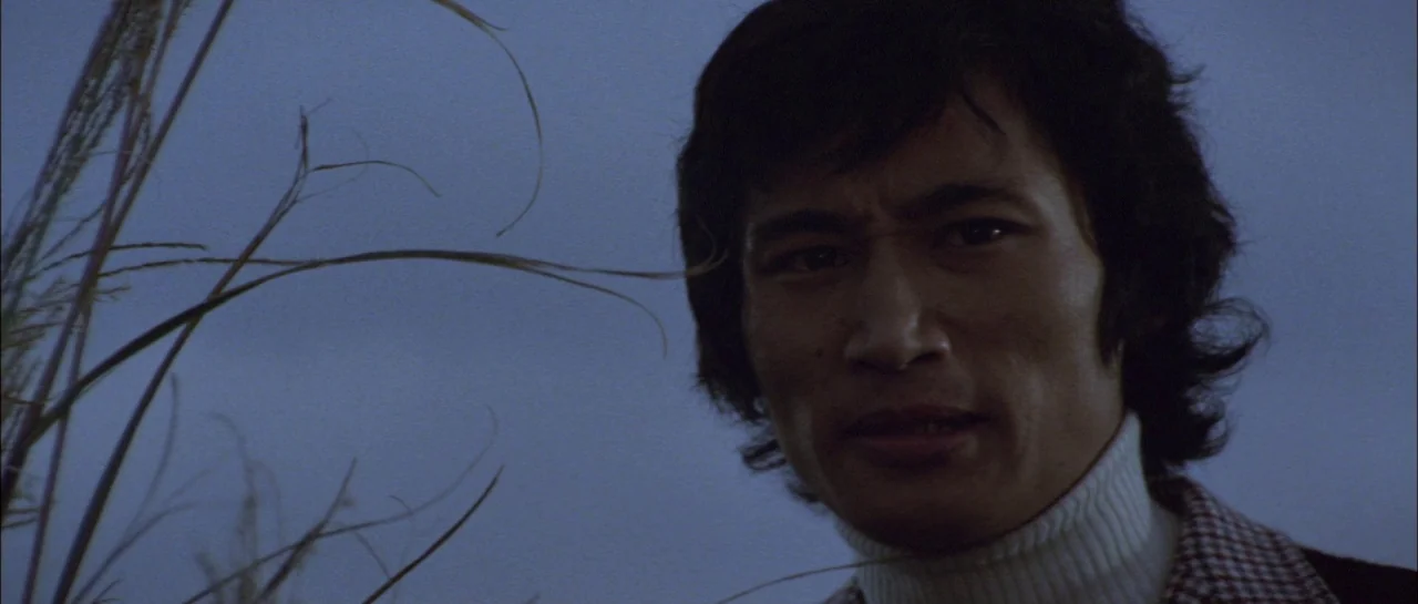 Godzilla Vs Megalon (1973) movie still: closeup — A field at dusk features tall, thin blades of grass in the foreground. A man stands in the frame…