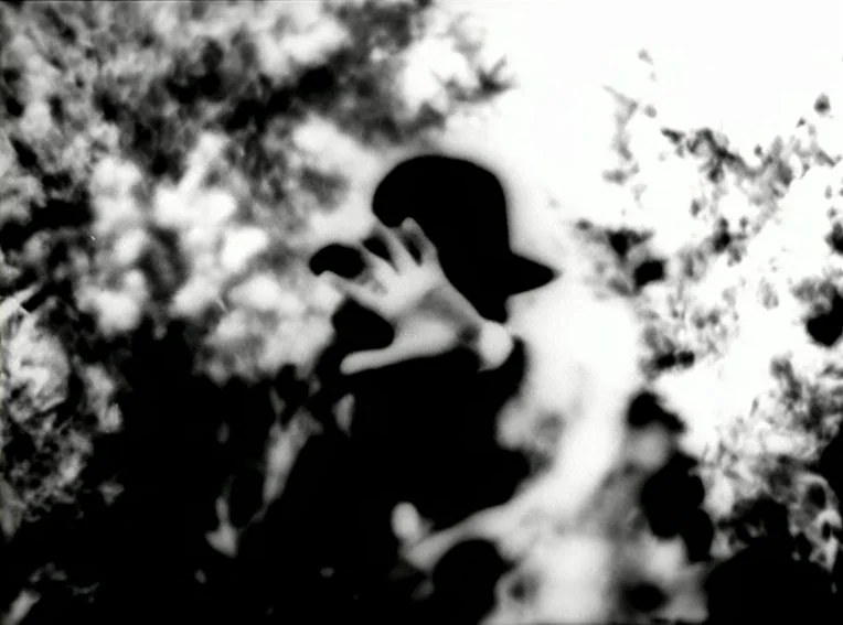 Cuadecuc, Vampir (1971) movie still: closeup — A silhouette of a person stands partially obscured by blurry, bright white foliage. The subject holds…