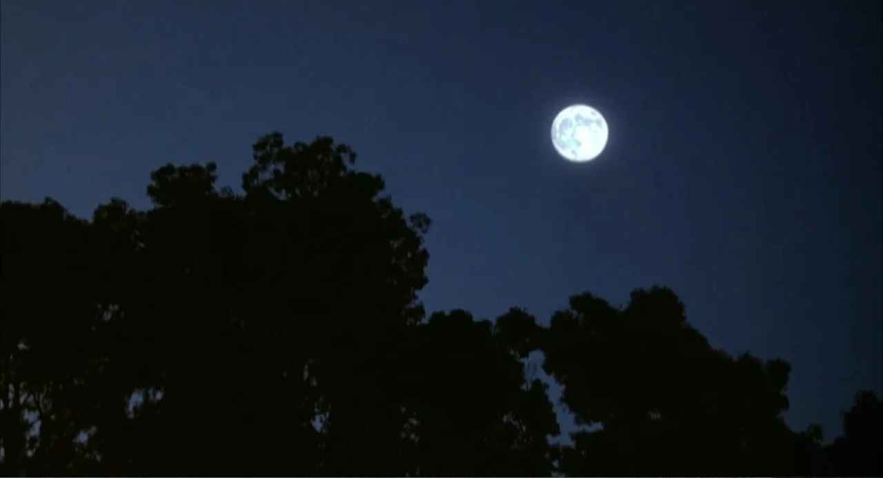 3 Ninjas (1992) movie still: establishing — A dark blue night sky displays a bright full moon above silhouetted treetops. The lower portion of the…