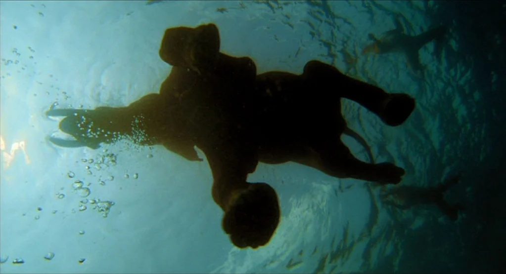 The Fall movie still: fullbody — An elephant swims underwater, viewed from directly below in bright, clear blue water. Bubbles trail from the animal…