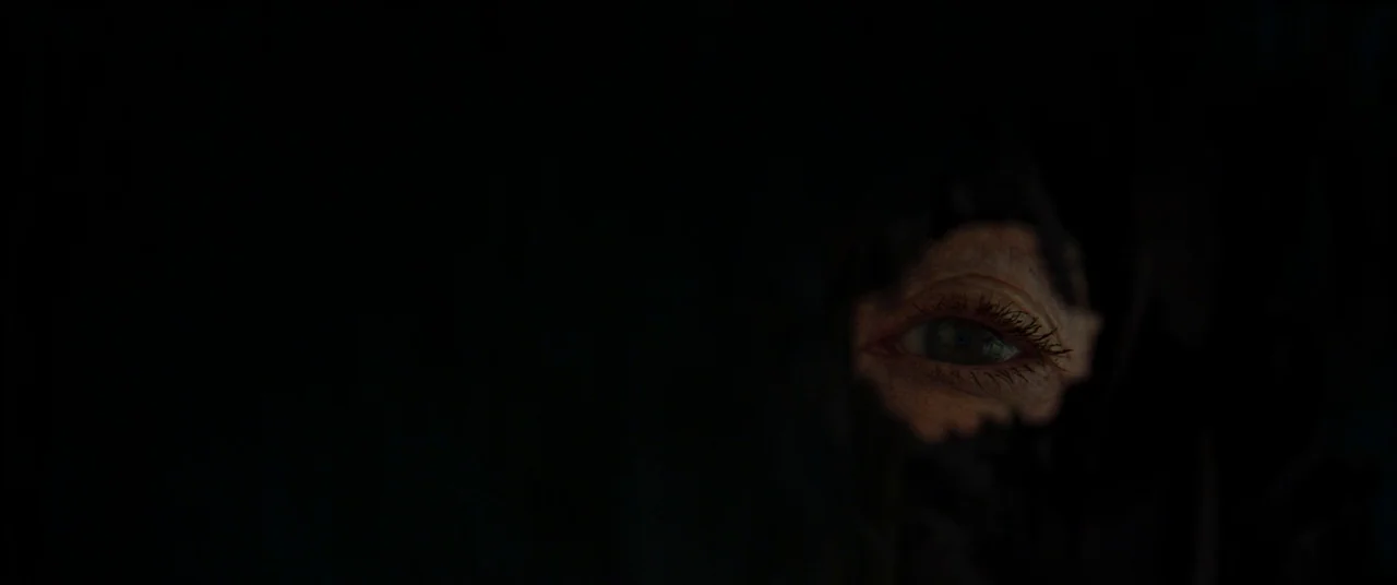 Greta movie still: closeup — A dark space is punctuated only by a sliver of light. A single eye is visible through a dark, textured opening.