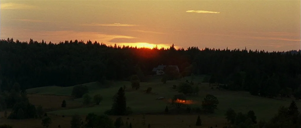 The Intruder (2004) movie still: establishing — A wide landscape view features a dark pine forest silhouetted against a golden sunset. A small…