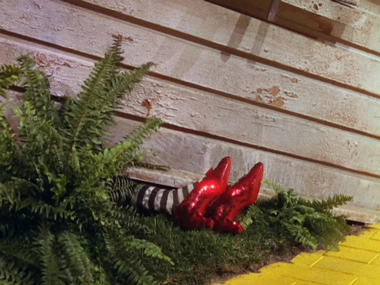 The Wizard Of Oz (1939) movie still: medium — The base of a wooden house wall rests against a patch of green ferns. A pair of striped stockings and…