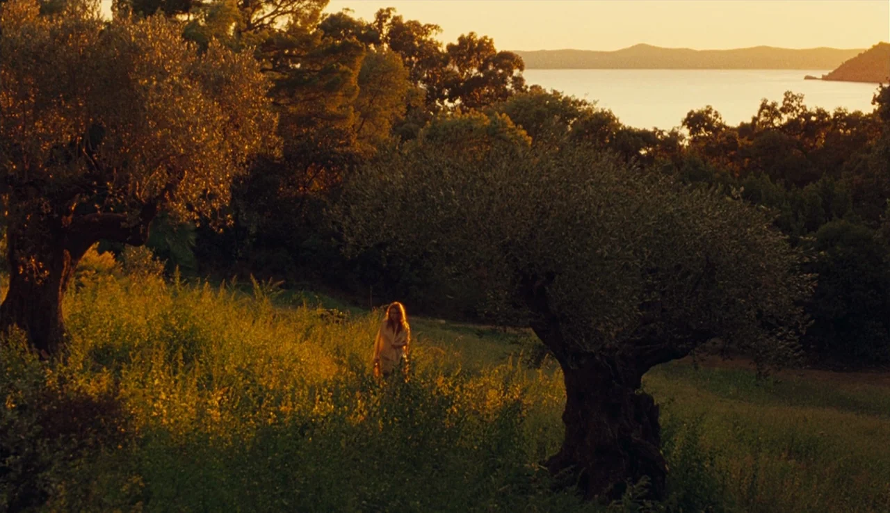 Renoir (2012) movie still: wide — A rural landscape features old olive trees in a field at sunset. A woman stands in the tall grass facing the…