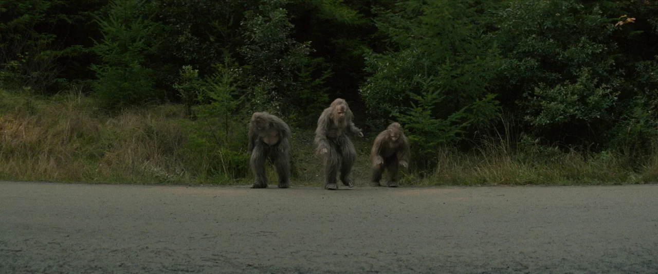 Sasquatch Sunset (2024) movie still: wide — A paved road runs horizontally across the foreground, bordered by a dense evergreen forest. Three large,…