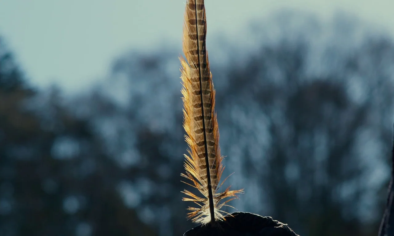 Evil Does Not Exist (2023) movie still: closeup — A single brown patterned bird feather is held upright against a blurred tree line. The background…