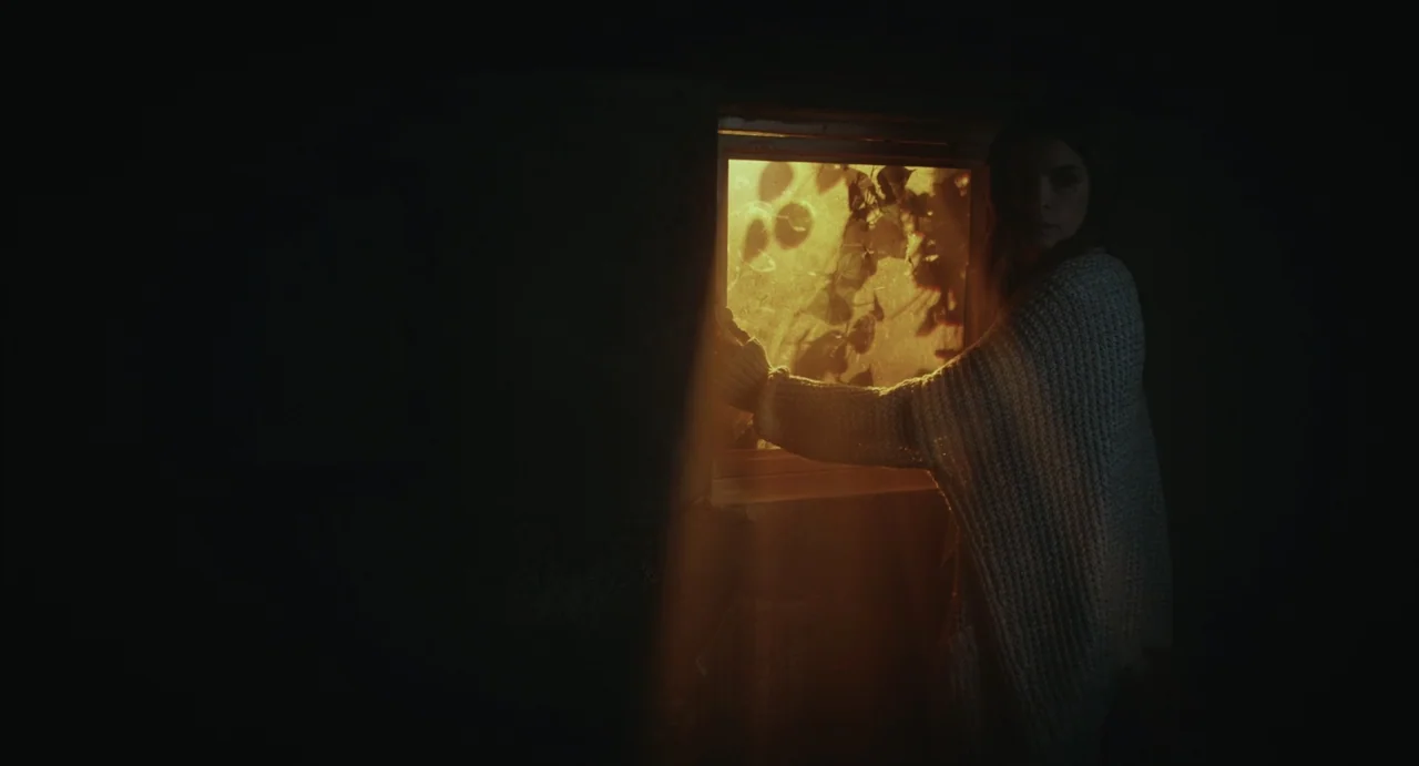 The Diary (1999) movie still: medium — A dark interior room features a single window glowing with intense golden light. A woman in a white knit…
