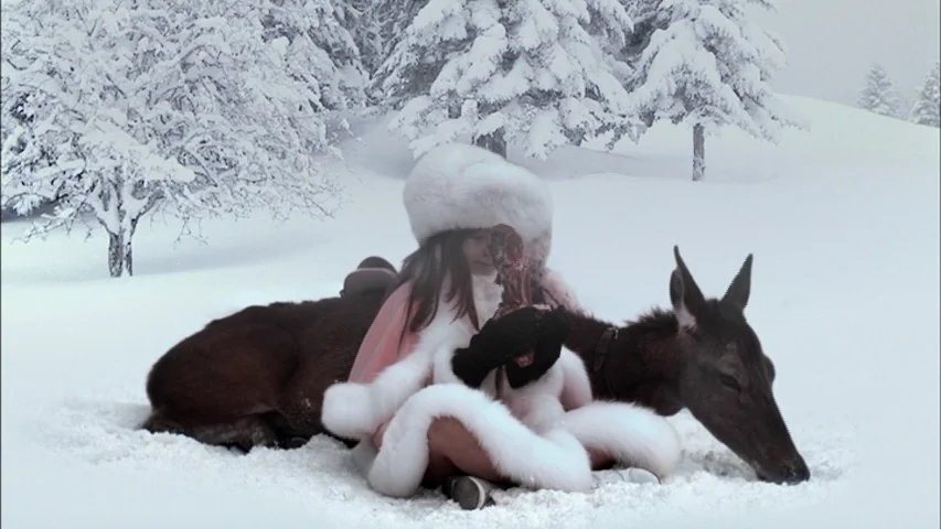 The Sleeping Beauty (2010) movie still: medium — A person in a fur-trimmed coat sits in deep snow near a resting deer. Snow-covered pine trees stand…