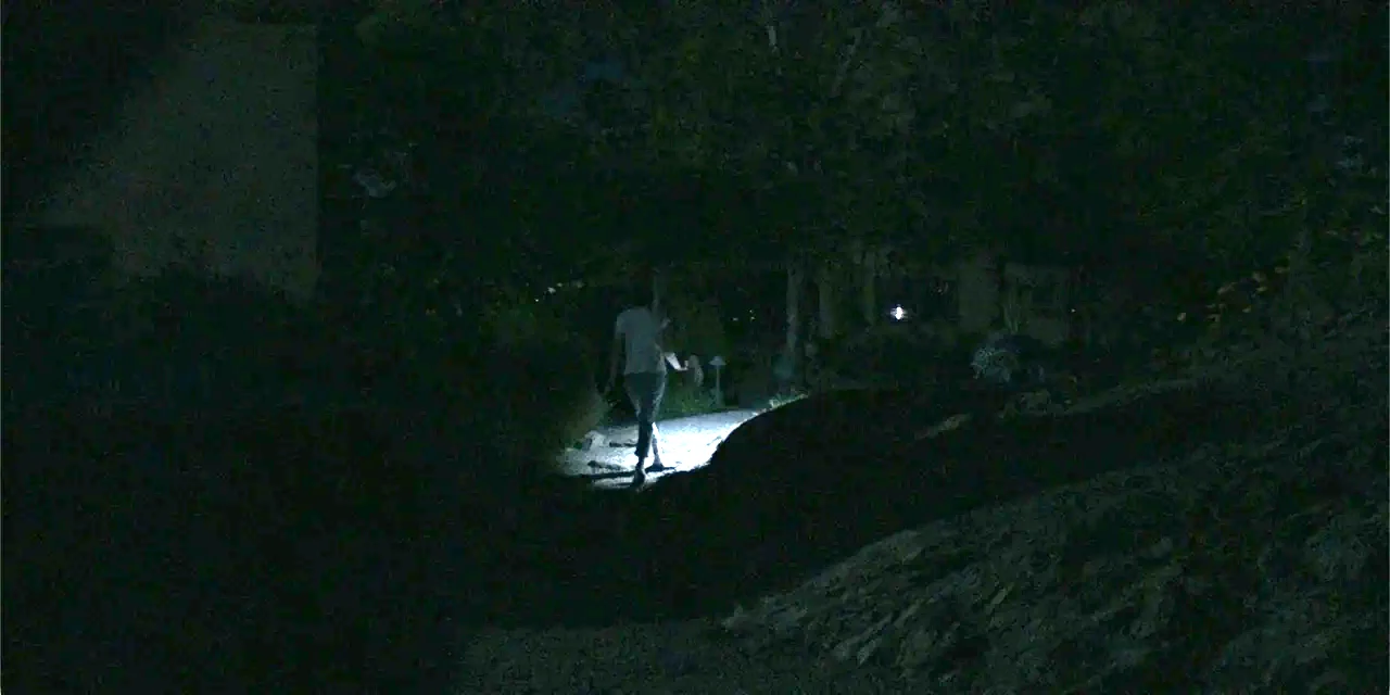 Demonic (2015) movie still: wide — A dark outdoor path at night is mostly obscured by heavy shadows and vegetation. A single person walks away from…