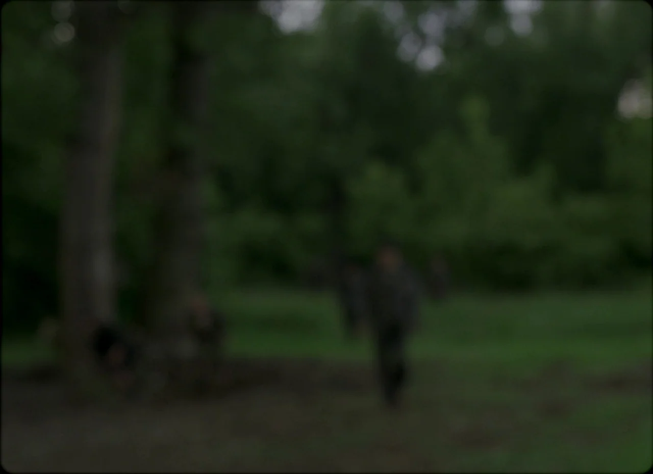 Son of Saul (2015) movie still: wide — An out-of-focus woodland area with tall trees and green vegetation. The foreground is muddy earth with…