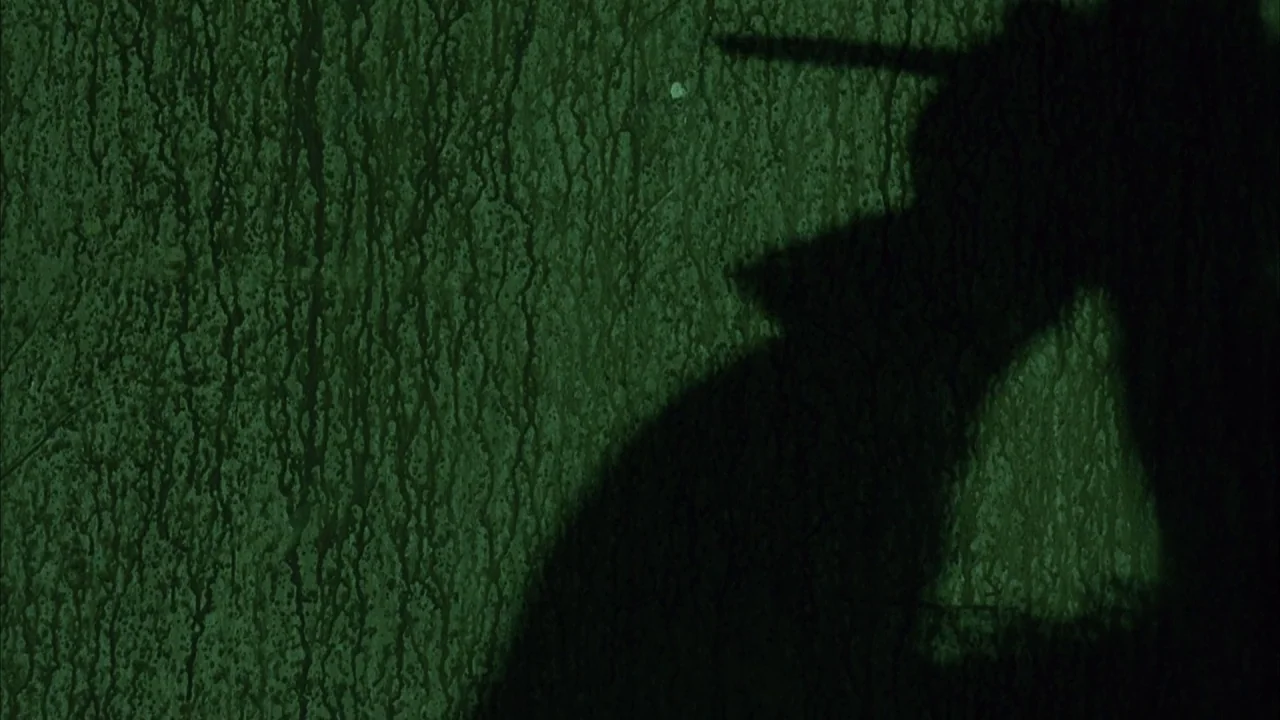 Saw movie still: closeup — A dark green wall is covered in thick, vertical moisture or grime streaks. The sharp black shadow of a person wearing a…