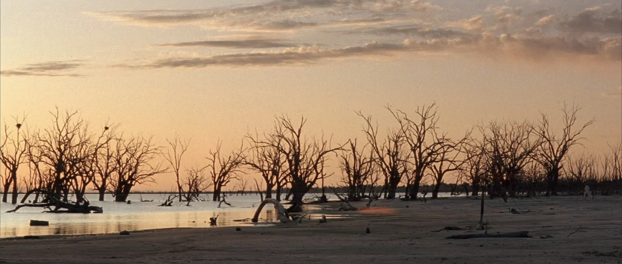 The Adventures of Priscilla, Queen of the Desert (1994) movie still: establishing — A flat sandy lakeshore features numerous dead, leafless trees…
