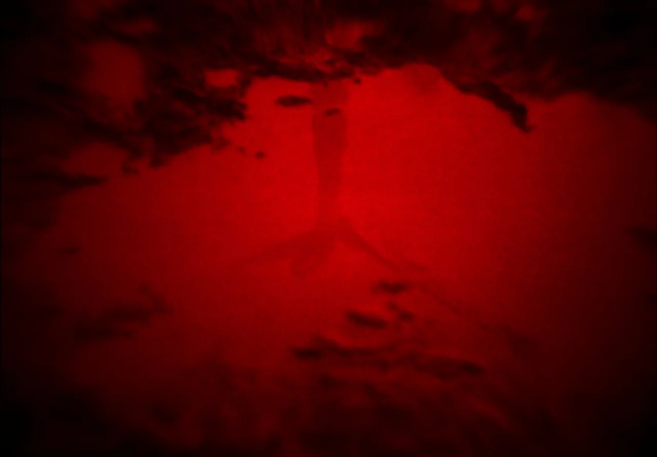 EO (2022) movie still: establishing — A dark red, textured surface fills the entire frame. A faint, blurry shadow of an object exists in the center…