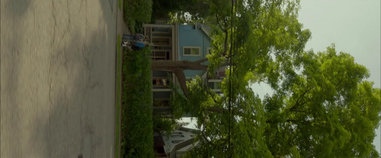 Me and Earl and the Dying Girl (2015) movie still: wide — A quiet suburban street with a light blue two-story house shaded by large trees. Two…