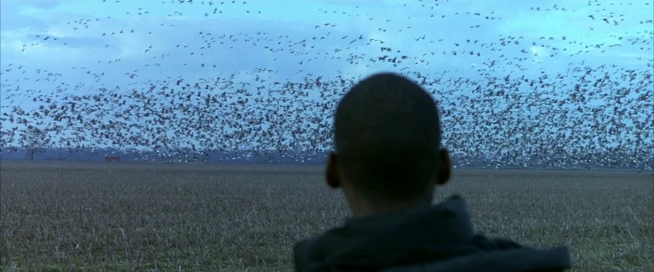 Ballast (2008) movie still: medium — A vast, harvested agricultural field stretches toward a distant, treeless horizon line. A lone figure stands in…