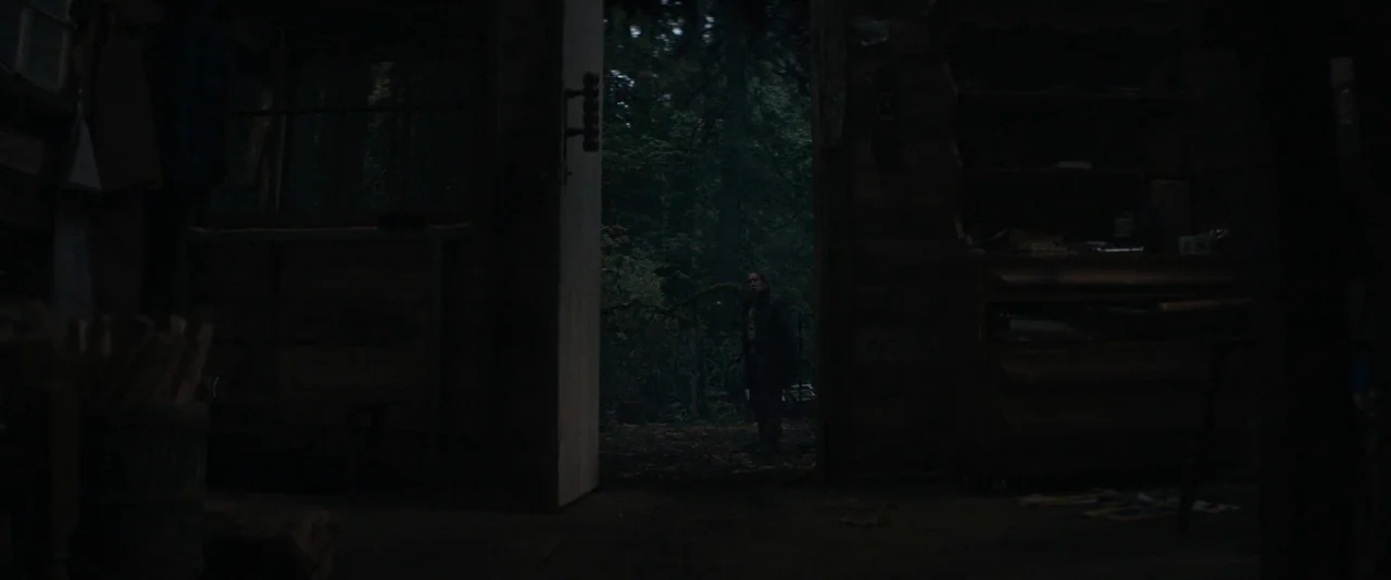 Pig (2021) movie still: wide — A dark wooden structure frames a view of a dense forest during daylight. A solitary man stands motionless within the…