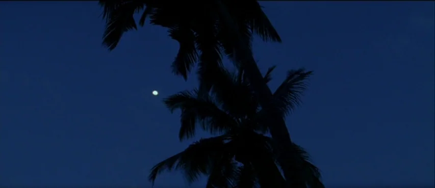 The Thin Red Line movie still: establishing — Two palm trees are silhouetted against a dark blue night sky. A small bright moon is visible in the…