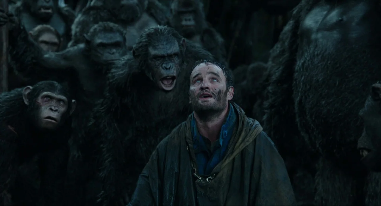 Dawn of the Planet of the Apes (2014) movie still: medium — A group of apes stands in the dark outdoors surrounding a single human man. The man…