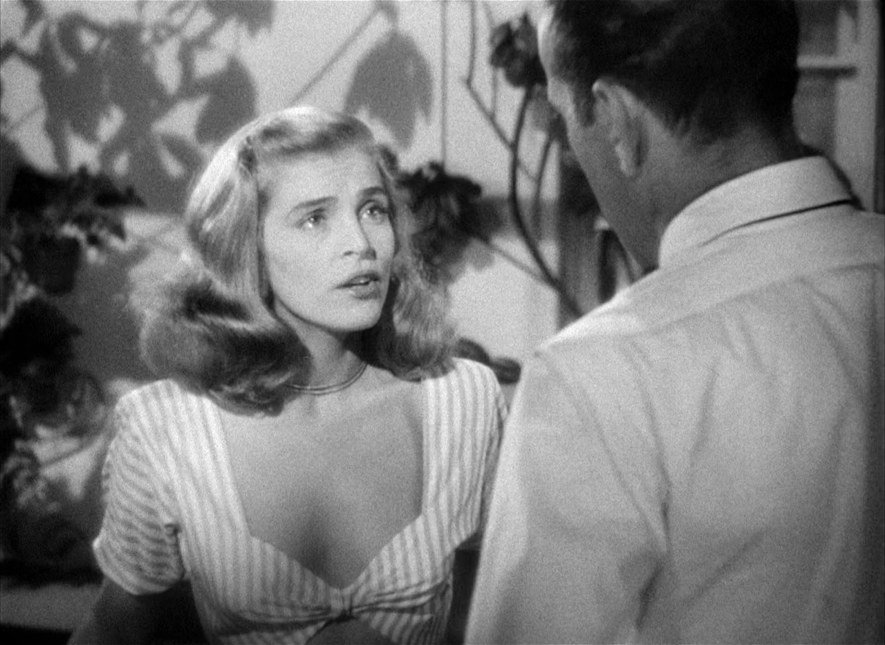 Dead Reckoning (1946) movie still: medium — An interior space features a wall with shadows cast by unseen hanging plants. A woman stands in the…