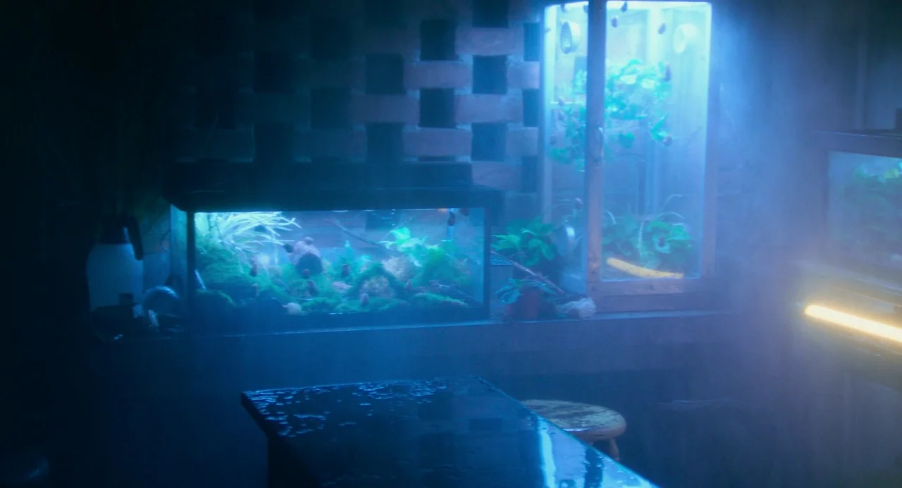 Deep Water (2022) movie still: establishing — A dark, misty space features multiple glowing glass enclosures filled with lush green foliage. A…