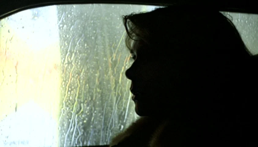 The Seventh Continent (1989) movie still: closeup — A dark car interior at night with rain droplets streaking the side window glass. A woman sits in…