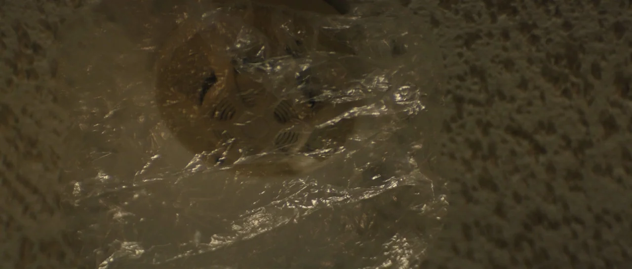 You Were Never Really Here (2017) movie still: closeup — A smoke detector is mounted on a textured, off-white plaster ceiling. A thin plastic bag is…