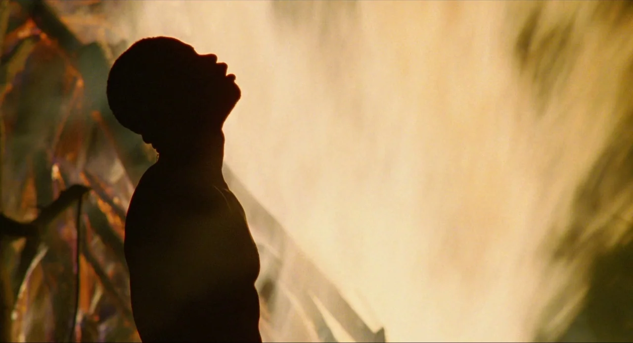 Amistad (1997) movie still: medium — A man stands in front of a powerful, bright waterfall in a natural setting. He tilts his head back toward the…