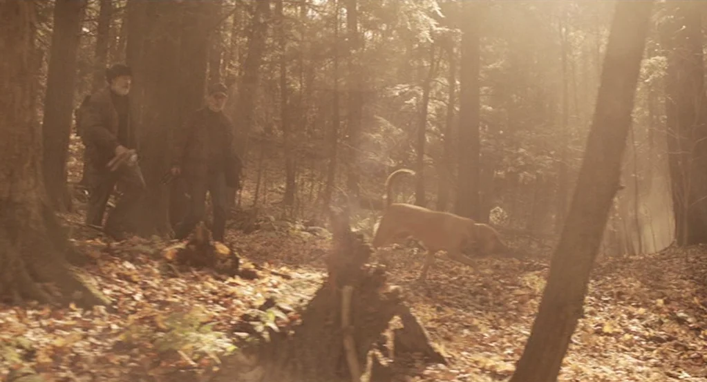 Mama (2013) movie still: wide — A sunlit clearing in a dense woodland environment covered with fallen autumn leaves. Two men hike behind a brown dog…