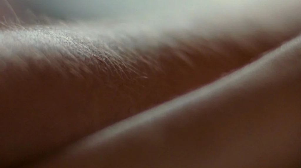 Bug movie still: closeup — Extreme close-up shot showing the texture of human skin with fine vellus hairs. The frame is filled entirely by a curve…