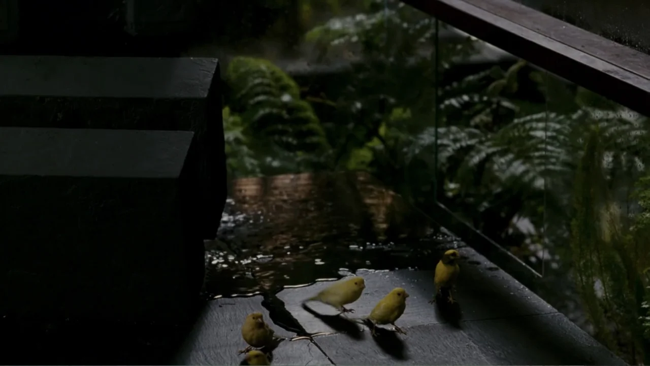 When a Stranger Calls (2006) movie still: medium — A dark, wet stone balcony overlooks a lush, rain-dampened fern garden outside. Four small yellow…