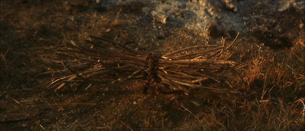 The Straight Story (1999) movie still: closeup — A bundle of dry twigs tied together with a striped fabric ribbon rests on ground. The dry grass and…