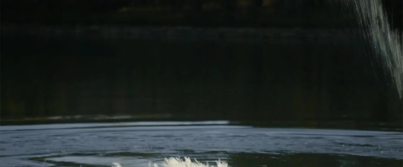 Someone Like You (2024) movie still: wide — A dark body of water with rippling waves under natural daylight conditions. A single bright white splash…