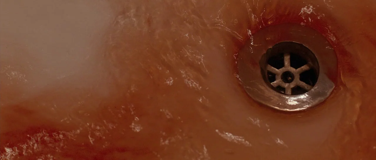 Byzantium (2012) movie still: closeup — A dark reddish liquid flows rapidly down a metal sink drain. The liquid fills the basin with turbulent waves.