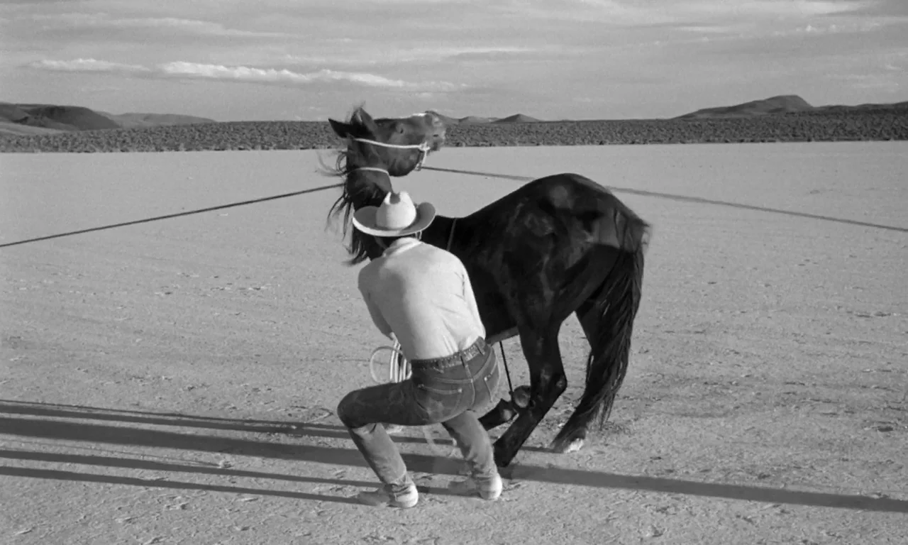 The Misfits (1961) movie still: fullbody — A flat dry lake bed stretches toward distant barren hills under a clear sky. A man in a cowboy hat stands…
