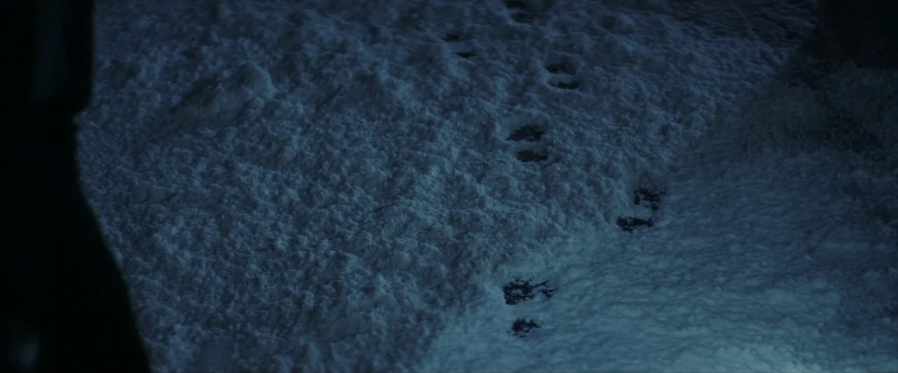 Tell Me How I Die (2016) movie still: wide — A field of thick, uneven snow lies under low-key blue night lighting. A series of deep footprints…