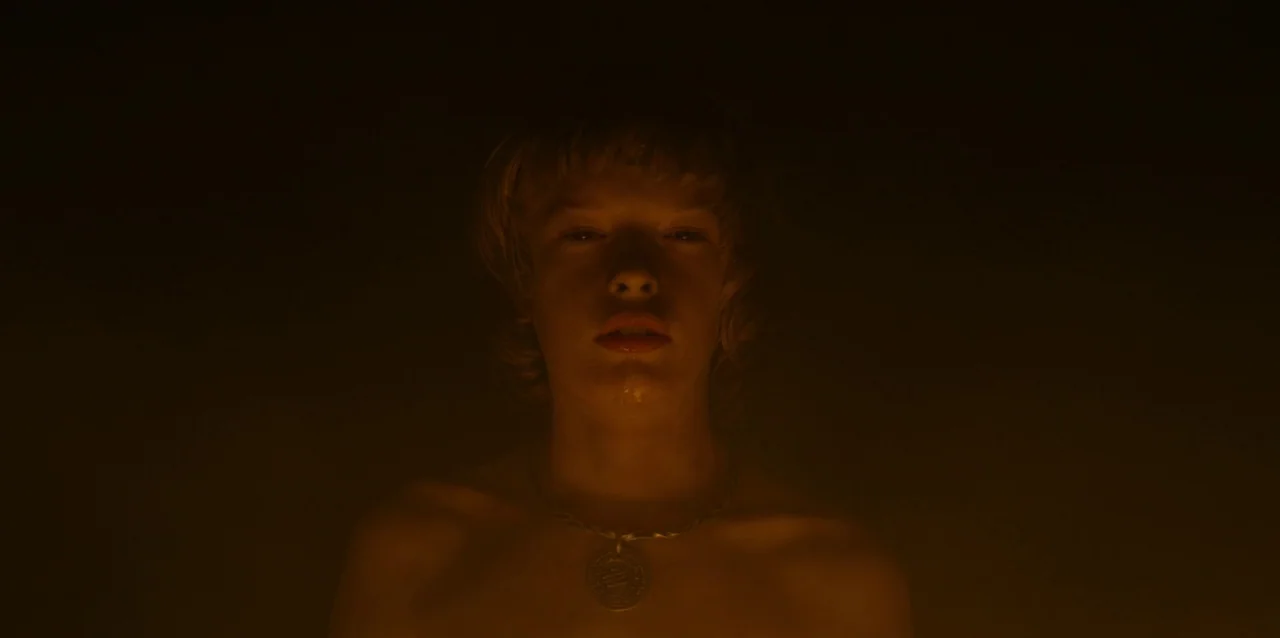 The Northman (2022) movie still: closeup — A teenage boy stands in a dark, warm-toned space with no visible background. He faces the camera directly…