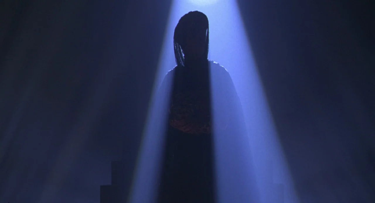 The Birdcage (1996) movie still: fullbody — A dark stage is illuminated by a single concentrated beam of vertical light. A hooded figure stands…