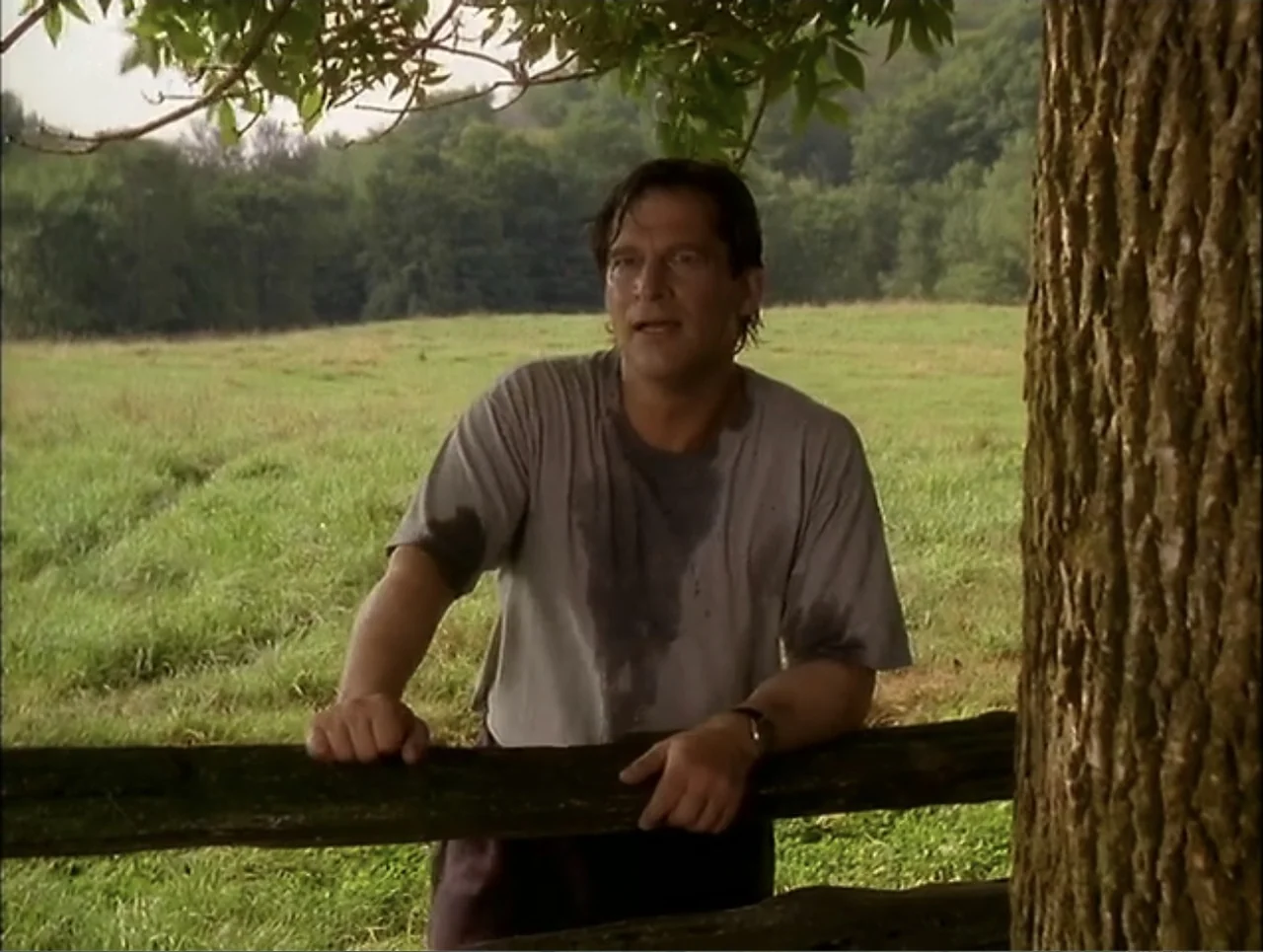 At the Midnight Hour (1995) movie still: medium — A green meadow with a thick tree trunk in the foreground and wooden fencing. A man stands behind…
