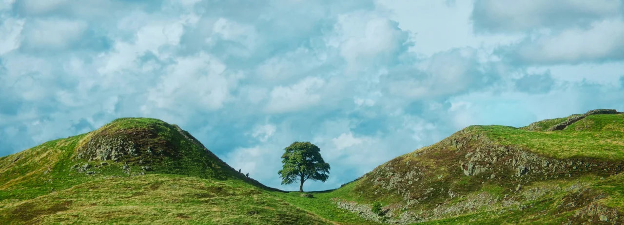 28 Years Later (2025) movie still: establishing — Green grassy hills rise on both sides of a low central saddle area. A lone, full-canopied tree…
