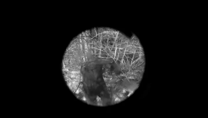 The American Astronaut (2001) movie still: medium — A dark, leafless thicket viewed through a circular night-vision lens. An indistinct upright…