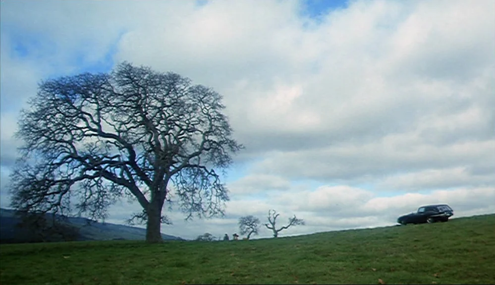 Harold and Maude (1971) movie still: wide — A sprawling grassy field features a large, bare-branched oak tree under a cloudy sky. A dark station…