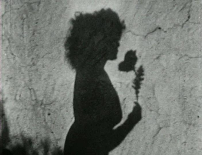 Meshes of the Afternoon (1943) movie still: medium — A dark silhouette of a person appears projected onto a textured concrete-like wall. The subject…