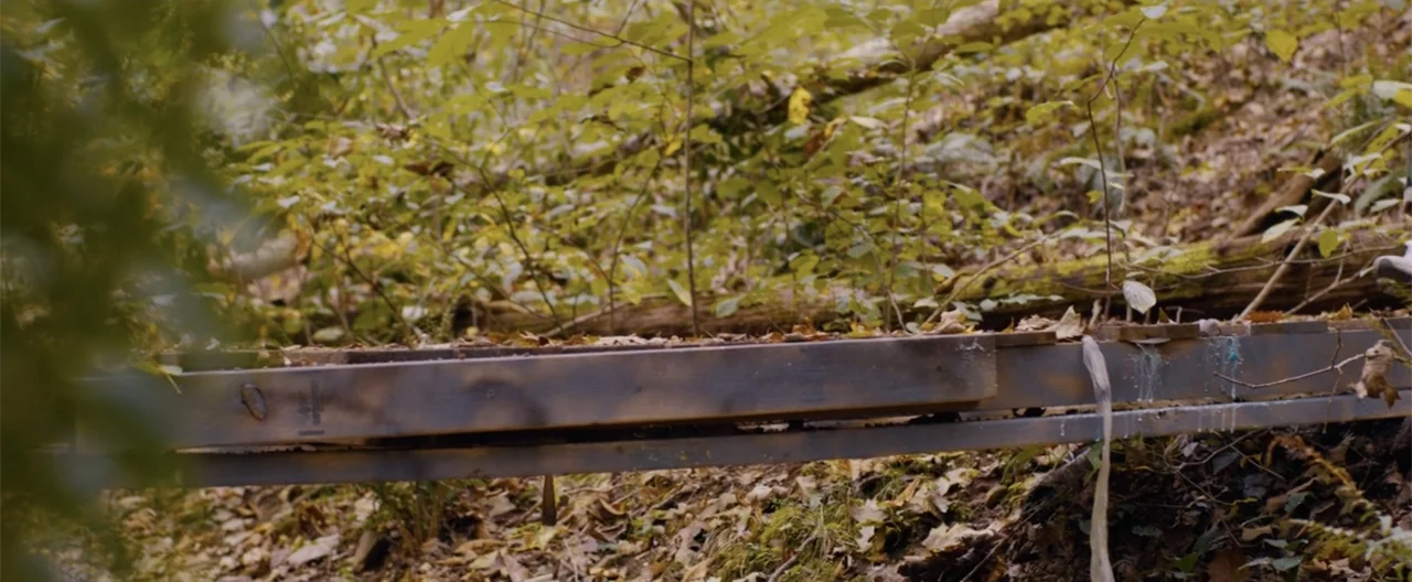 Camp Hideout (2023) movie still: wide — A wooden plank bridge crosses a small depression in a dense autumn forest area. The frame shows fallen…