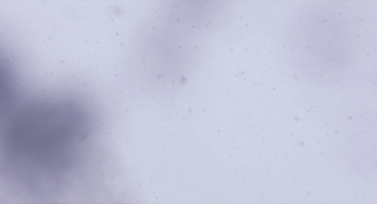 Under The Skin (2013) movie still: establishing — A vast, overcast sky filled with falling snow particles obscures the horizon. Thick gray clouds…